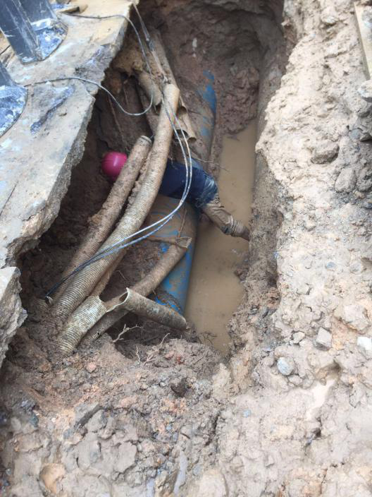 5fe40f696a30c.png 圖片1.png